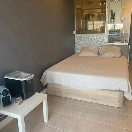 公寓 Port Nature 2 阿格德